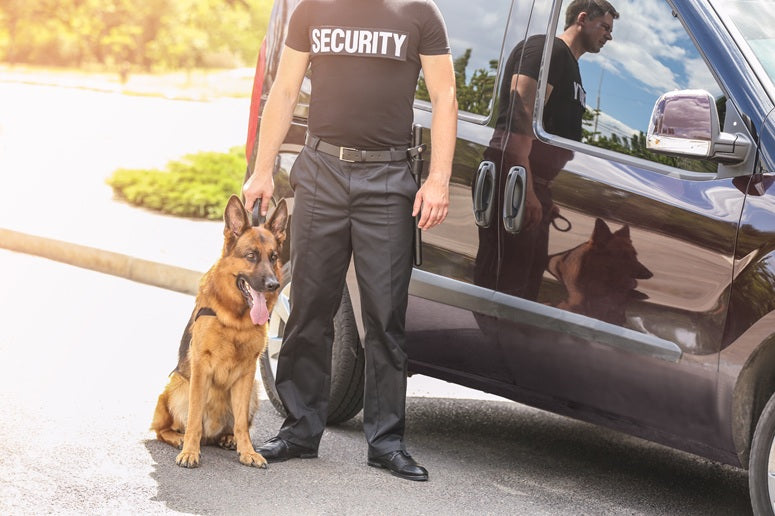 The Most Important Safety Features in K9 Cruiser Upfitting
