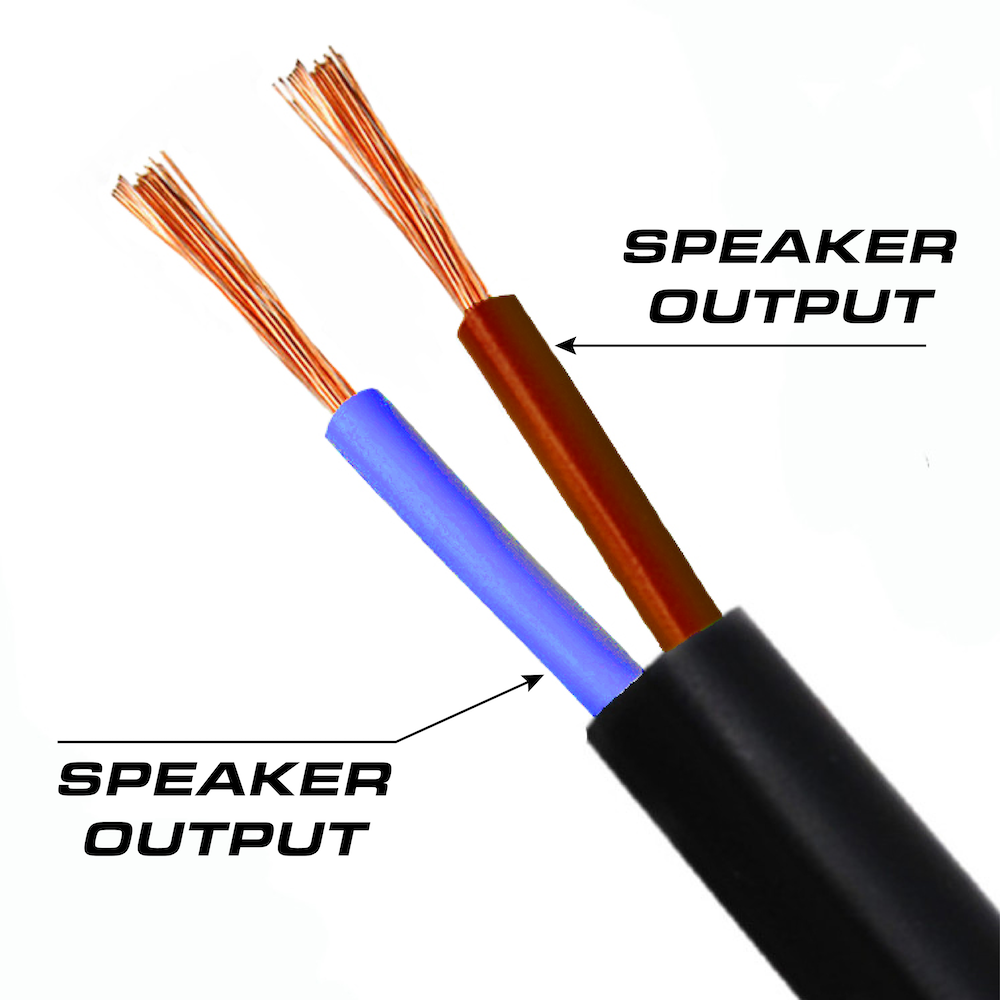 Triton 100W Speaker